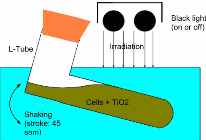 Figure 1: Experimental setup for cultivating E.coli strain     under oxidative condition 