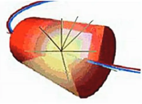 Figura 2 - Os prótons chegam ao interior de um dos detectores do LHC.