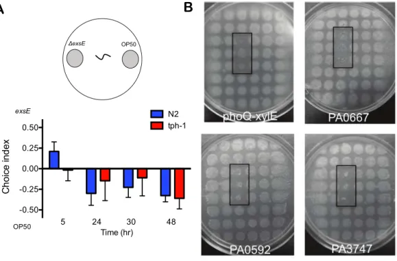 Figure 5 C. elegans tph-1 mutants are capable of avoidance and preferred feeding be- be-haviours