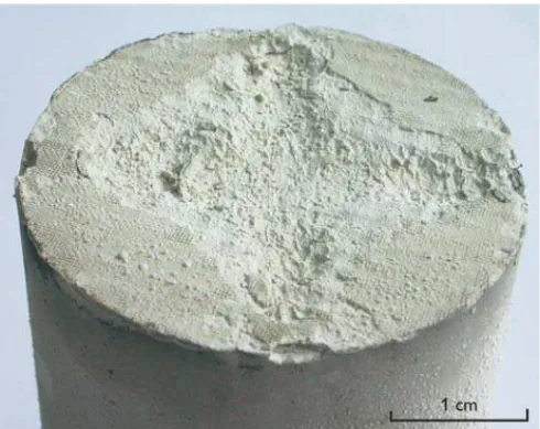 Fig. 5. The inlet end of the composite sample showed a dissolution struc- struc-ture after flooding with CO 2 -enriched water