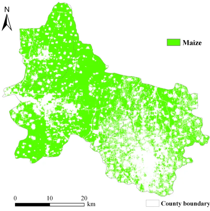 Figure 3. Maize classification map in three counties in North China.