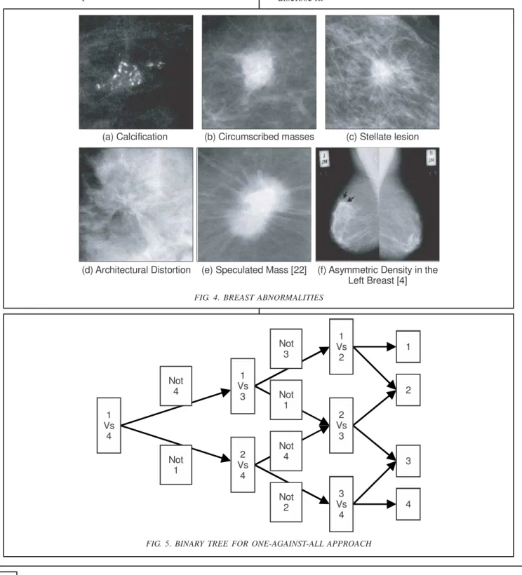 FIG. 4. BREAST ABNORMALITIES