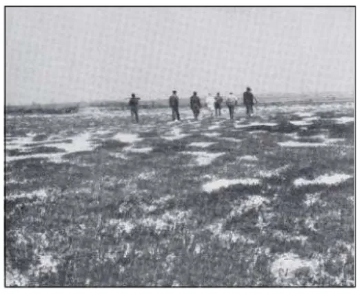 Figure 6. Kabongo, the Holo   Figure 7. Salt Flats at Kiongwa River,  Queen «Holo diya Mukhetu»       South of Kizenga &amp; Milando,