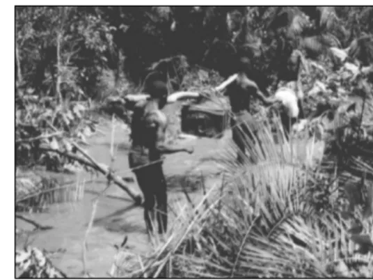 Figure 14. Erosion defense  Figure 15. Transporting Cotonang    work at the Canzel cotton         Equipment through ﬂ ooded        concentration, 1954    areas of the Baixa