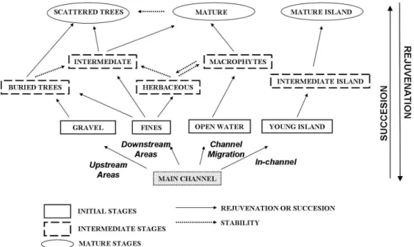 Fig. 3. Ecotope succession scheme. See explanations in the text (Methods section).