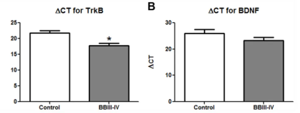 Figure 5. The expression of TrkB mRNAs in CA1 pyramidal neurons of AD BBIII-IV is increased in comparison to control