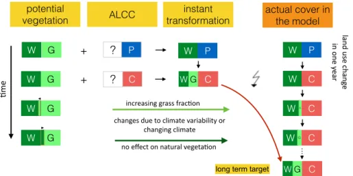Figure A1. Diagram to illustrate the legacy effect of long term changes in natural vegetation after strong anthropogenic land use transitions