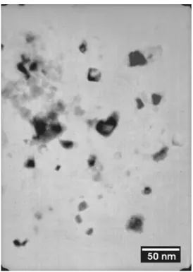 Fig. 7.  TEM micrograph of the obtained Ni-ferrite powder after TM 