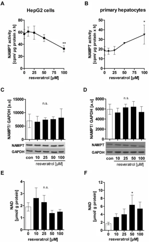 Figure 5. Resveratrol differentially regulates NAMPT and NAD levels in HepG2 cells and primary human hepatocytes