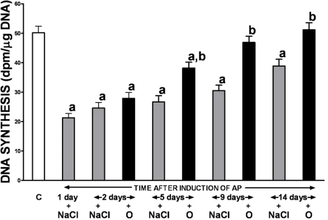 Fig 5. Influence of treatment with saline or obestatin on pancreatic DNA synthesis in the course of ischemia/reperfusion-induced acute pancreatitis