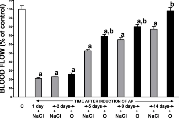 Fig 1. Influence of treatment with saline or obestatin on pancreatic blood flow in the course of ischemia/reperfusion-induced acute pancreatitis.