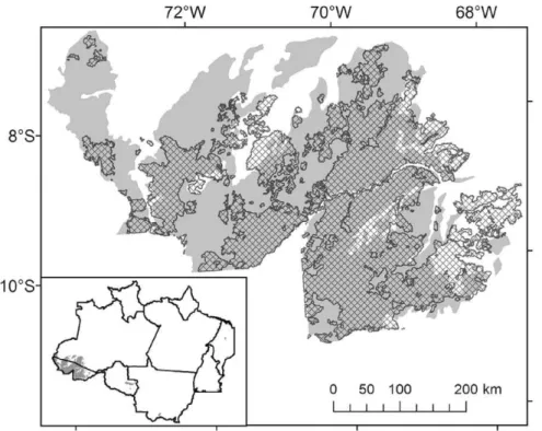 Figure 7. Bamboo life cycle of 27–28 y inferred from spatial congruence of mature-stage maps