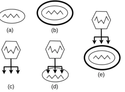 Figure 8: A bacterium (a) could be represented as a membrane containing the bacterium’s DNA