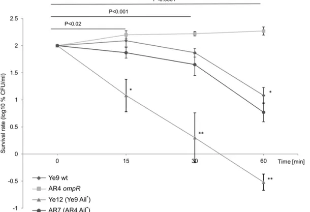 Figure 5. The susceptibility of Y. enterocolitica O:9 strains with and without protein Ail to normal human serum