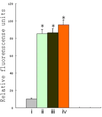 Figure 9. Selective infection of ACPP-pc-Ad-eGFP in MMP- MMP-overexpressing cells and control