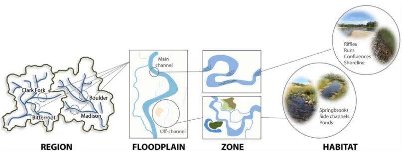 Fig 1. Hierarchical organization of river-floodplain systems. Proposed structural units along the hierarchical organization of river systems.