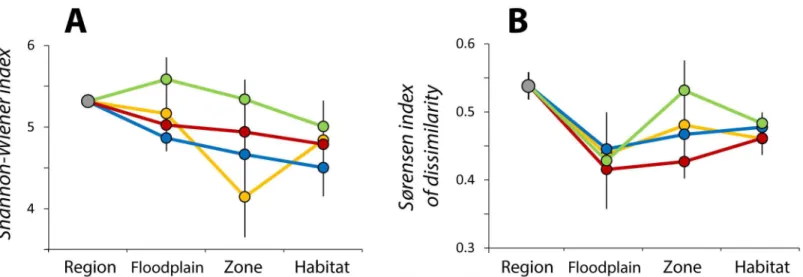 Fig 2. Biofilm diversity patterns across the hierarchical organization of river-floodplain systems