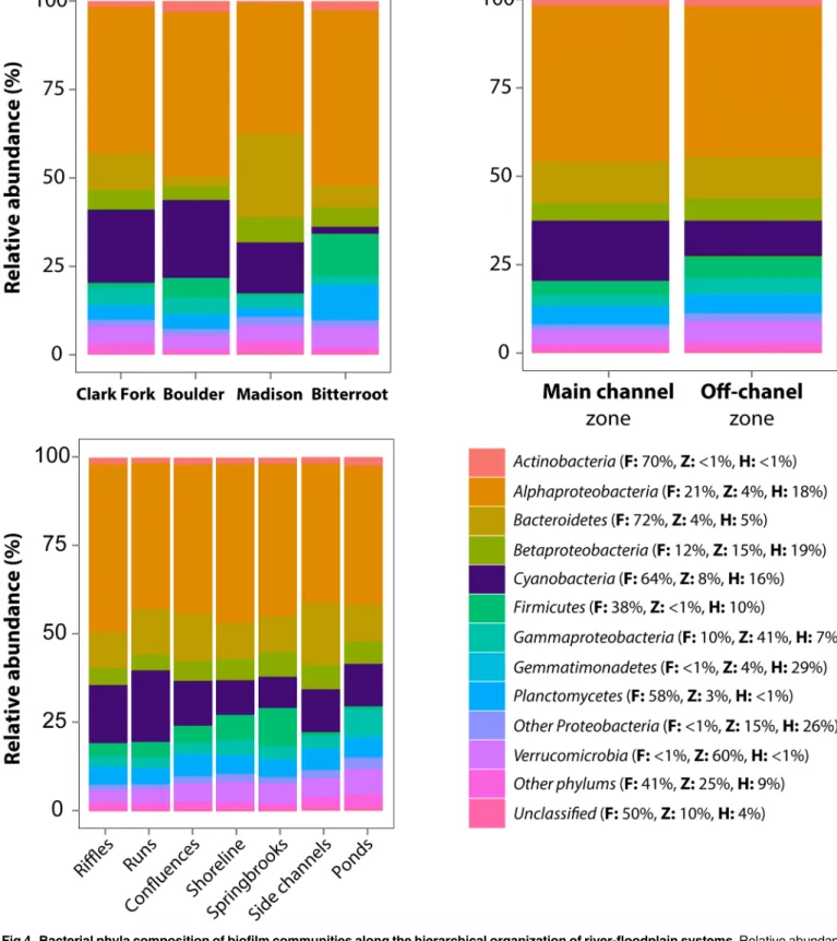 Fig 4. Bacterial phyla composition of biofilm communities along the hierarchical organization of river-floodplain systems