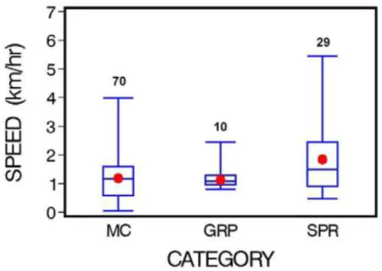 Figure 2. Swim speed for three categories of right whales (MC