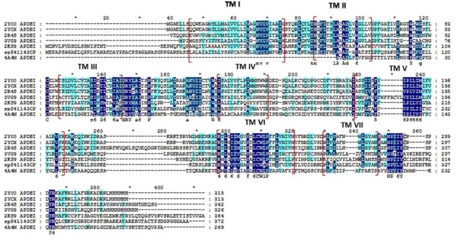 Fig. 1 MSA of DOR with 2ycx, 2y00, 2r4s, 3vg9, 2ks9 and 4a4m, obtained from CLUSTALW. (Color code pattern: dark blue – identical  with all templates, blue – conserved substituted residues all templates, light blue – semi-conserved substituted all templates