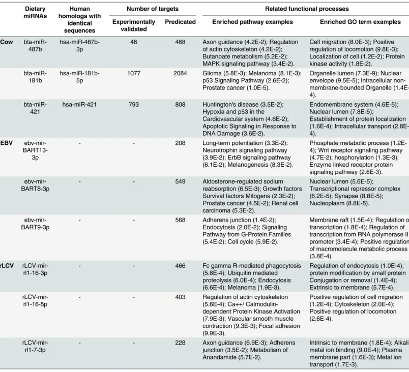 Table 6. Gene targets and functional analysis of the three top predictions of the transportable miRNAs in cow’s milk, EBV, and rLCV.