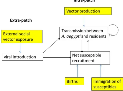 Fig 1. Schematic of dengue transmission system in an urban patch. Arrows represent causally increasing or self-enhancing effects, dots represent causally decreasing effects