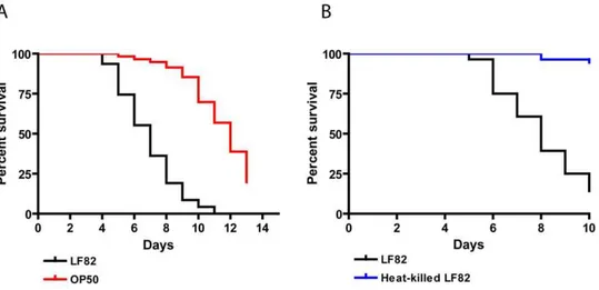 Figure 1. LF82 kills the C. elegans nematode. (A) Nematode killing assay. Synchronized populations of C