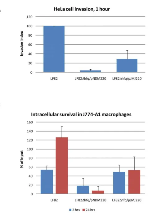 Figure 6. LF82 hfq is involved in host cell invasion and intracellular survival in macrophages