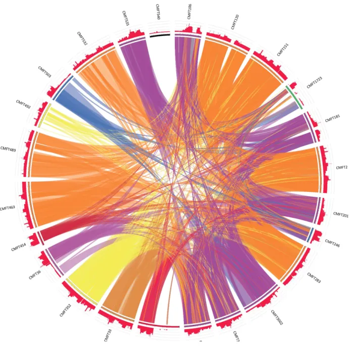 Figure 1. Level of homology between 24 sequenced SCC mec elements using the Circos tool [52]