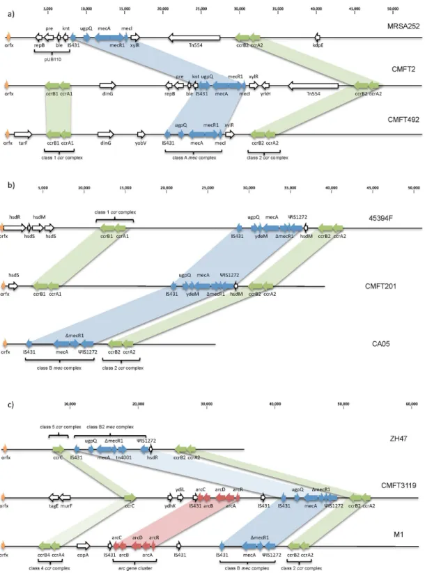 Figure 2. Variant SCC mec elements. a) SCCmec for archetypal type II, MRSA252 (NC_002952), compared to isolates CMFT2 and CMFT492