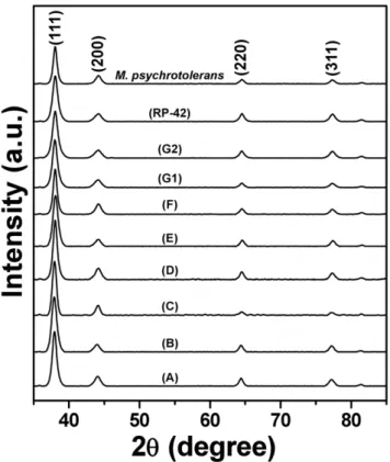 Figure 5. Selected area electron diffraction (SAED) patterns obtained from AgNPs formed by (A) M