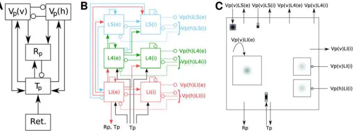 Figure 9. Hierarchy of diagrams of a complex network model (Lumer et al. [10]). (A) Overview diagram of connectivity between high-level populations