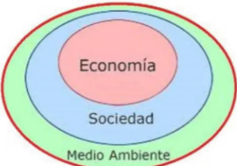 Figura 3: Sistema Socio-Ecológico  (elaboración propia) 