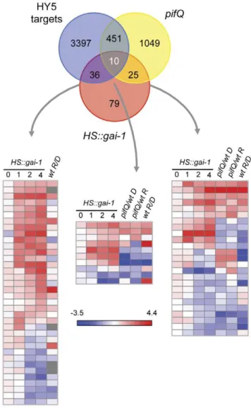 Figure 3. Meta-analysis comparing microarray data from HS::gai-1 , HY5 and PIF targets