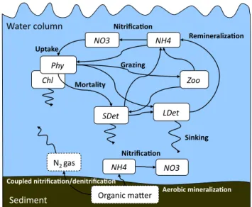Fig. 2. Schematic of the biological model. State variables are shown in solid boxes. Variables that are not explicitly included are indicated by dashed boxes.