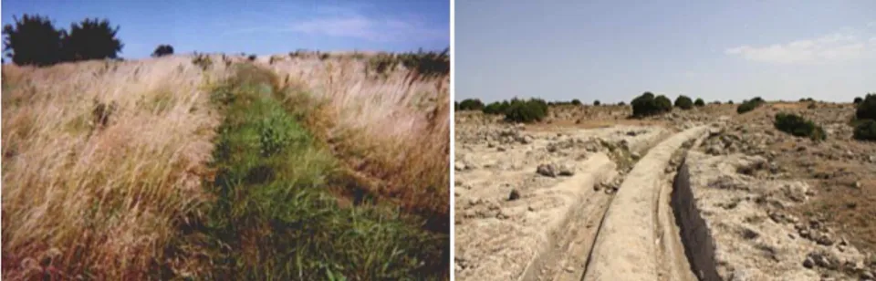 Figure 4. (Left) The Mormon Trail through south-central Iowa, USA. This trail was used by wagon traffic from about 1846 to 1853, but the effects of that traffic are still detectible in the trail’s soils