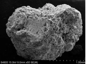 Figure 5. Scanning electron microscopy (SEM) photograph of a soil macroaggregate. Picture taken from a forest soil sample from Benitatxell, Alicante, Spain, 2013.