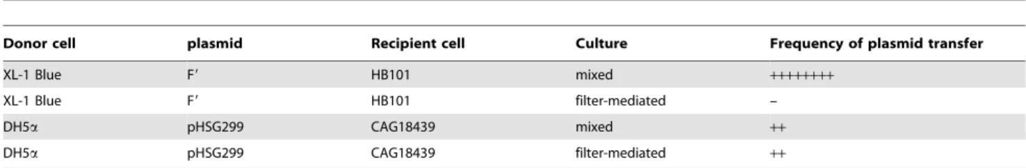 Table 4. Lateral plasmid transfer through nylon membrane filter in colony biofilm culture.