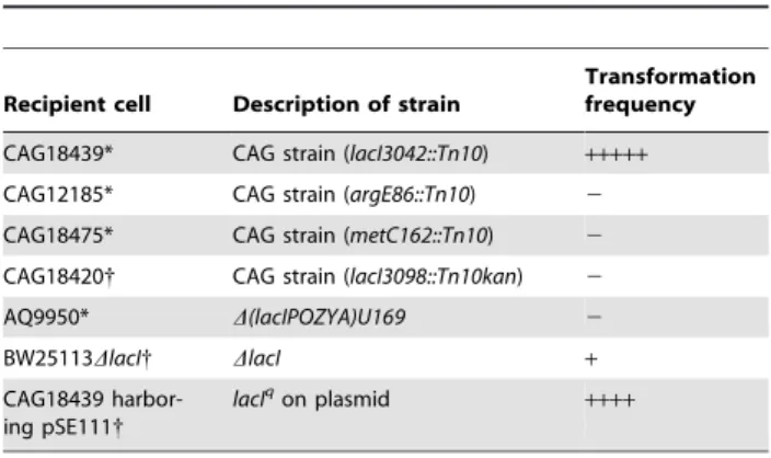 Figure 3. Effects of media conditioned with various strains on cell-to-cell transformation and on cell growth