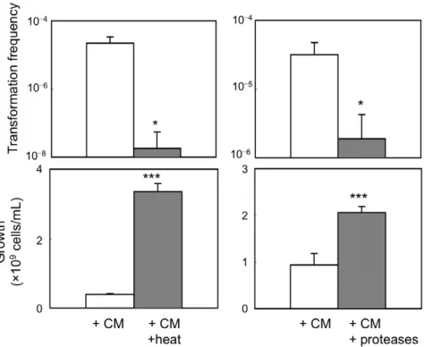 Figure 4. Characterization of putative active factor in CM of CAG18439. Effects of heat exposure and protease treatment of CM of CAG18439 on cell-to-cell transformation and cell growth in co-culture of MG1655 harbouring pHSG299 and MC4100