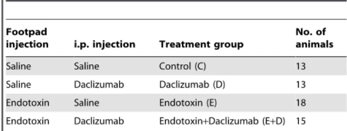 Table 1. Summary of treatment groups.