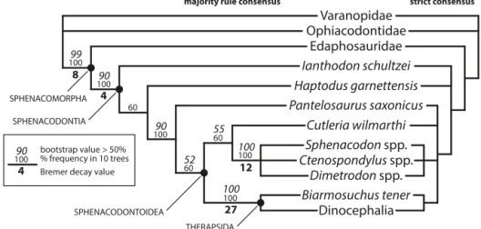 Figure 7. Majority rule and strict consensus cladograms of the 10 most parsimonious trees, with a key for bootstrap values above 50 %, the frequency of node occurrence and Bremer decay values