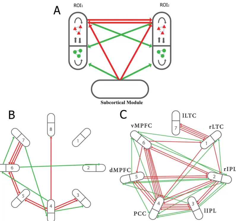 Fig 1. Shown are two modules (regions of interest, ROI 1 and ROI 2 ), represented by ellipses containing pools of excitatory neurons (red triangles) and inhibitory neurons (green circles), synaptically connected within and between pools (black arrows)