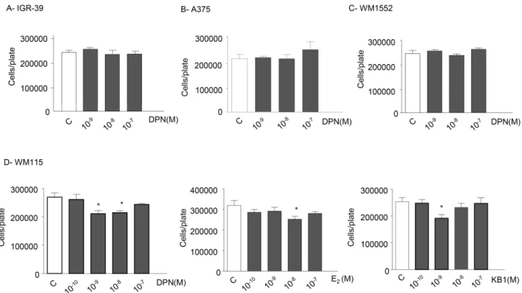 Fig 7 shows that the pattern of expression of the ERβ isoforms is similar in BLM and in WM115 cells, with ERβ1and ERβ5 being expressed at similar levels and ERβ2 showing a higher level of expression