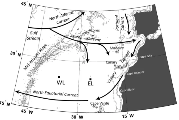 Figure 1. Map showing the study area and the location of the surveys. Two Lagrangian surveys were conducted during the CARPOS cruise near the center of the subtropical gyre, i.e