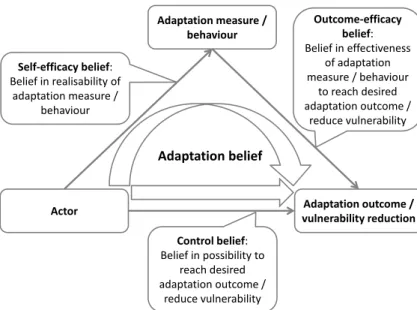 Fig. 2. Illustration of the adaptation belief concept and ways to assess it (developed from Hoff and Walter, 1996).
