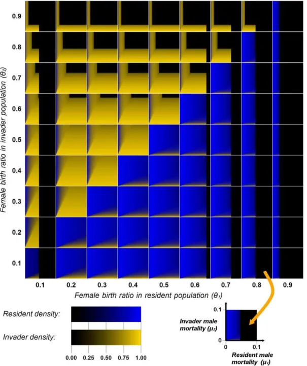 Figure 9 shows a scenario where the invader has the sameFigure 4. Stationary population densities.Numerical integrations are performed for the scenario where the persistent stationary resident (group1) is invaded by group 2, initially at an infinitesimal d
