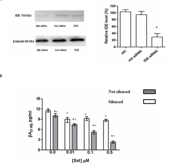 Figure S1 Modulation of IDE expression by somatostat- somatostat-in. Rat Astrocytes were incubated with indicated concentrations of somatostatin