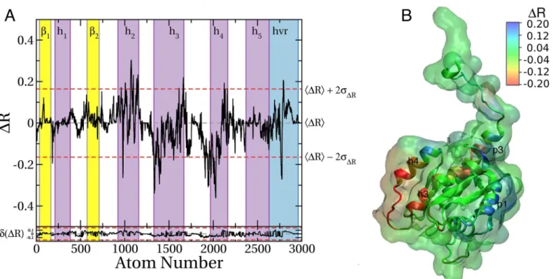 Fig 7. Differences in probe binding between G12D and G13D K-Ras. (A) Same as Fig 6A except that ΔR is the difference in atomic probe occupancies of G12D and G13D K-Ras