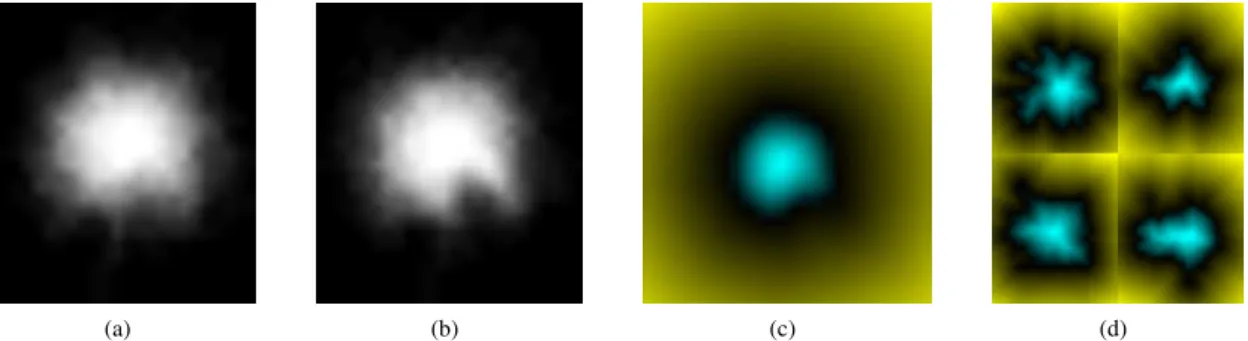 Figure 2. Deriving the eigenshape representation. (a), (b): mean polygon masks formed by summing all pixel values at corresponding locations in training polygons before and after alignment, respectively
